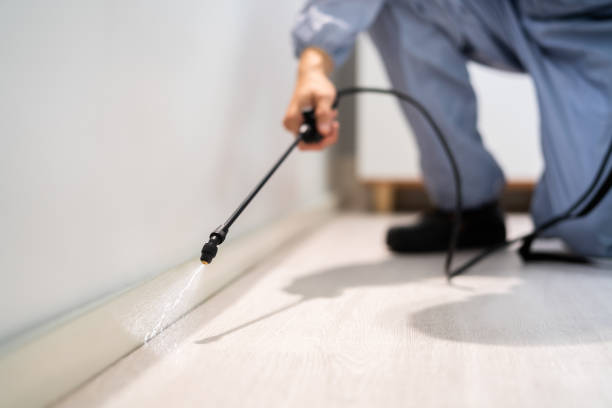 Certified termite inspector examining foundation in Parachute